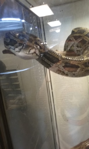 Pet Store «Pet Planet», reviews and photos, 200 1/2 Lane Parkway, Shelbyville, TN 37160, USA