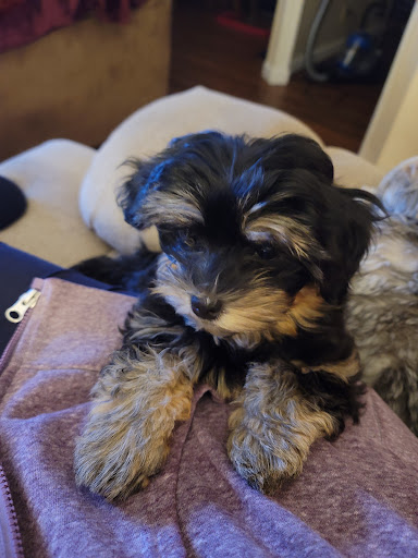 Pet Supply Store «Nature Boys Farm & Pet Supply», reviews and photos, 17022 Pacific Ave S, Spanaway, WA 98387, USA