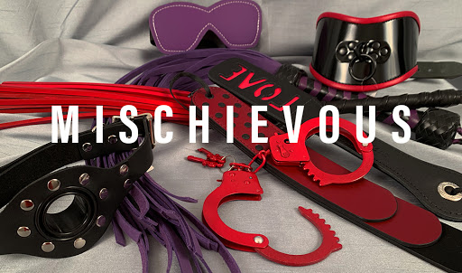 Adult Entertainment Store «Mischievous», reviews and photos, 559 300 W, Salt Lake City, UT 84101, USA