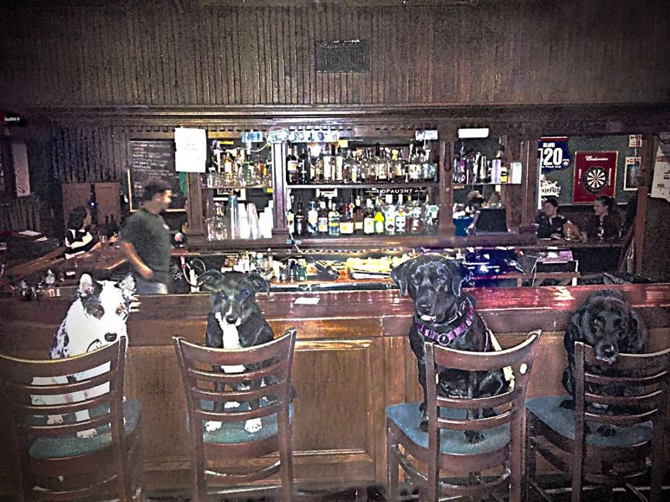 O'Donnell's Pub 28387