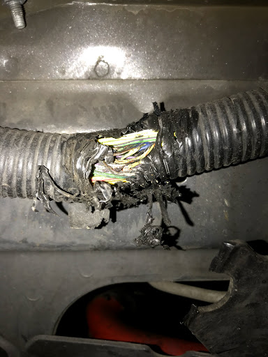 Auto Repair Shop «Auto Maintenance & Repair», reviews and photos, 1752 E Vista Way, Vista, CA 92084, USA