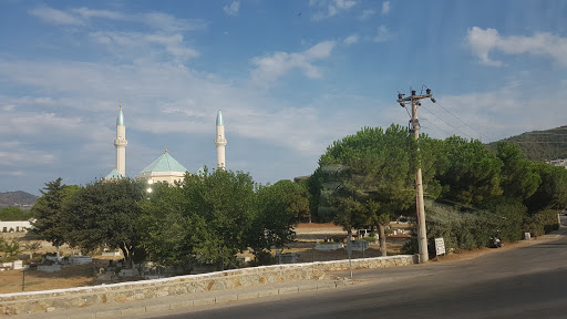 Pacific-Artos Petrol