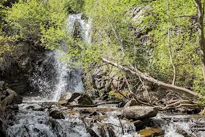 Hunter Creek Falls image