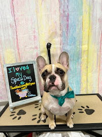 Pawsitive Manners Pets N' Puddles Dog Training, Luxury Pet Spaw & Salon - Photo 6 - Car repair in Menifee, CA, Murrieta