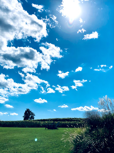 Winery «Sheldrake Point Winery», reviews and photos, 7448 County Rd 153, Ovid, NY 14521, USA