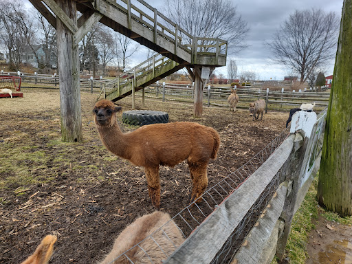 Farm «Alstede Farms», reviews and photos, 1 Alstede Farms Ln, Chester, NJ 07930, USA