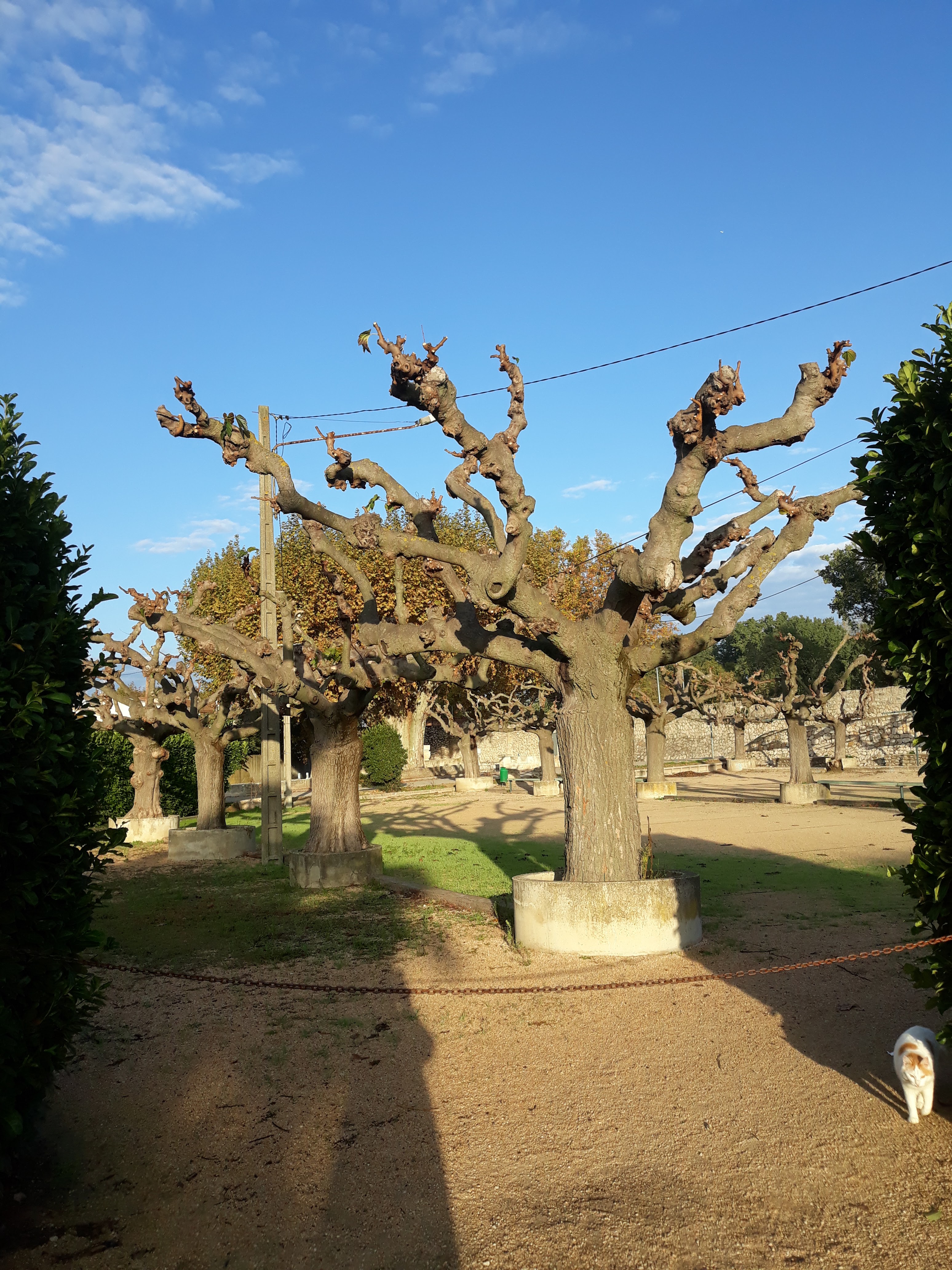 Photo n° 10 de l'avis de MG. fait le 30/10/2019 à 08:31