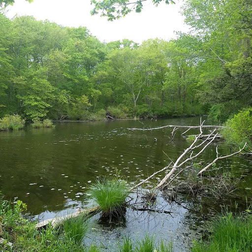 Historical Landmark «Smith-Appleby House», reviews and photos, 220 Stillwater Rd, Smithfield, RI 02917, USA