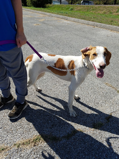 Thrift Store «West Plains Regional Animal Shelter», reviews and photos, 1438 State Rte BB, West Plains, MO 65775, USA