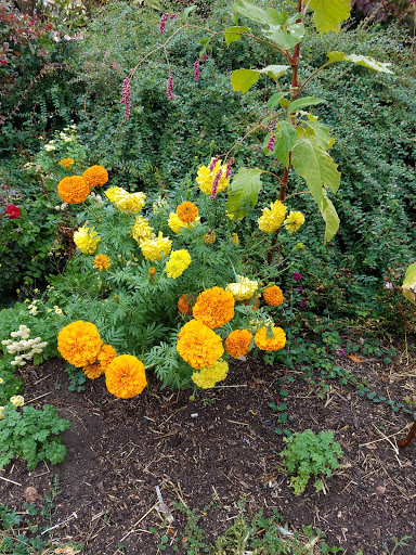 Produce Market «Berry Patch Farms», reviews and photos, 13785 Potomac St, Brighton, CO 80601, USA