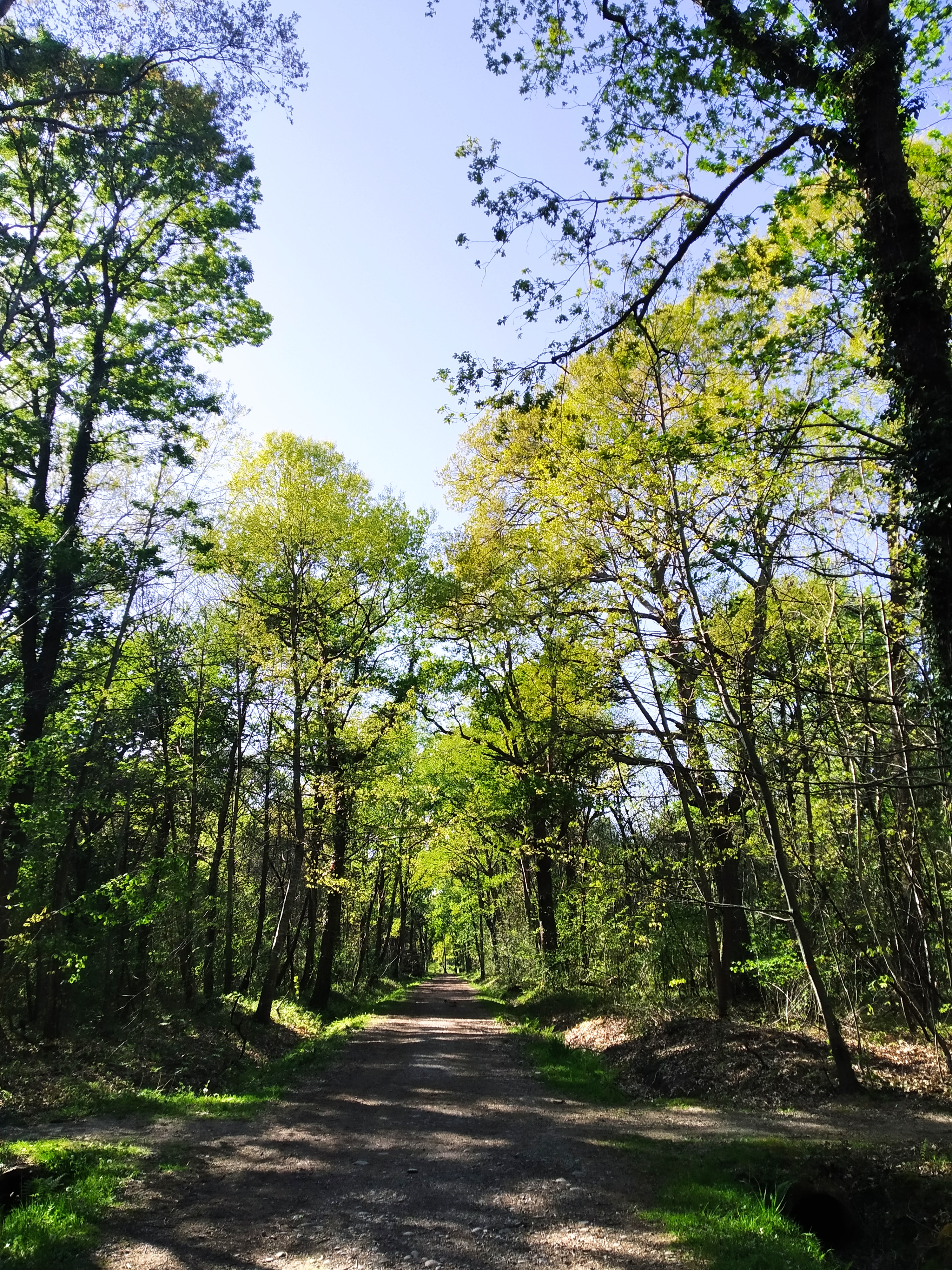 Photo n° 1 de l'avis de Alexandre.e fait le 15/05/2021 à 14:14