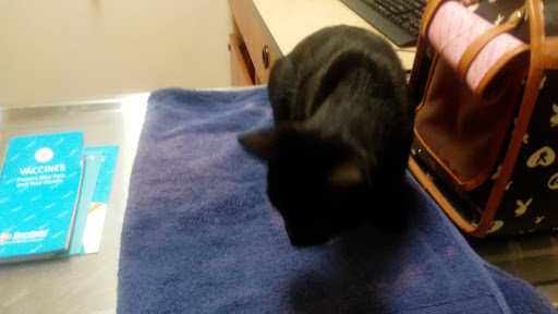 Pet Supply Store «PetSmart», reviews and photos, 156 Pavilion Pkwy, Newport, KY 41071, USA