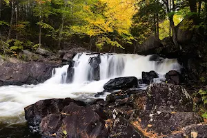 Brook's Falls image