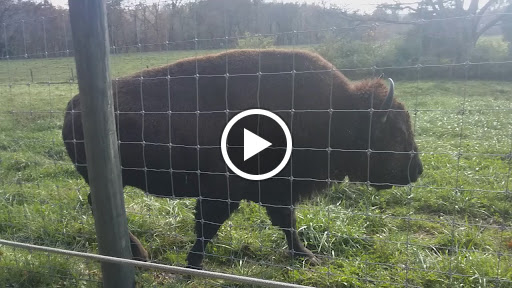 Casino «Hollywood Casino & Hotel Lawrenceburg», reviews and photos, 777 Hollywood Blvd, Lawrenceburg, IN 47025, USA