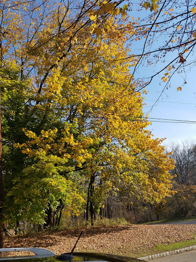 Dinner Theater «Hunterdon Hills Playhouse», reviews and photos, 88 NJ-173, Hampton, NJ 08827, USA