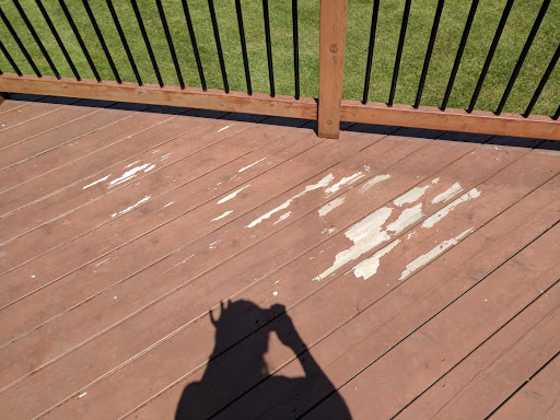 Painter «Student Painters», reviews and photos, 14005 Simone Dr, Shelby Charter Township, MI 48315, USA