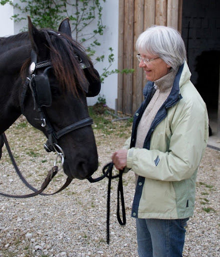Dr. Juliane Claussen Tierarztpraxis unter Hemau, Bayern