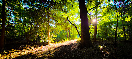 Park «Killens Pond State Park», reviews and photos, 5025 Killens Pond Rd, Felton, DE 19943, USA