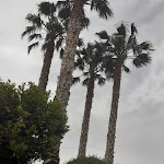 Photo n°2 de l'avis de Rosanna.i fait le 20/05/2022 à 04:23 sur le  Villa La Tenuta Della Principessa à Biancavilla