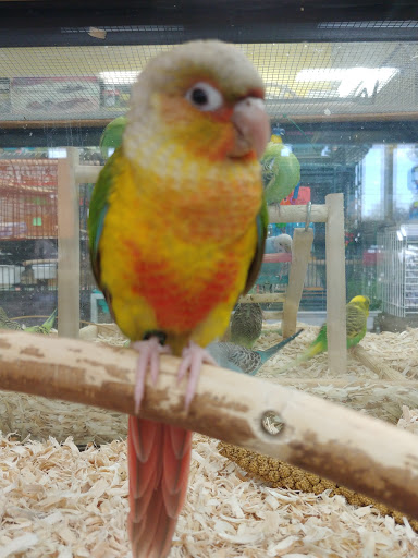 Pet Supply Store «Our Pet World», reviews and photos, 380 Semoran Commerce Pl, Apopka, FL 32703, USA