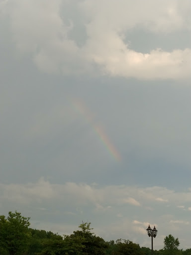 Movie Theater «St Michael Cinema», reviews and photos, 4300 O Day Ave NE, St Michael, MN 55376, USA