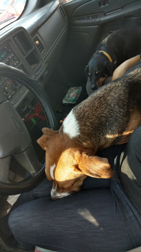 Shopping Mall «12th St Plaza», reviews and photos, 1275 US-1, Vero Beach, FL 32960, USA