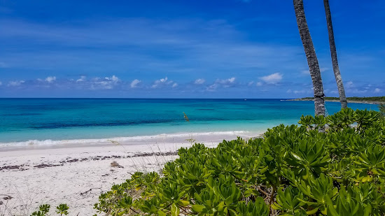 Double Bay beach