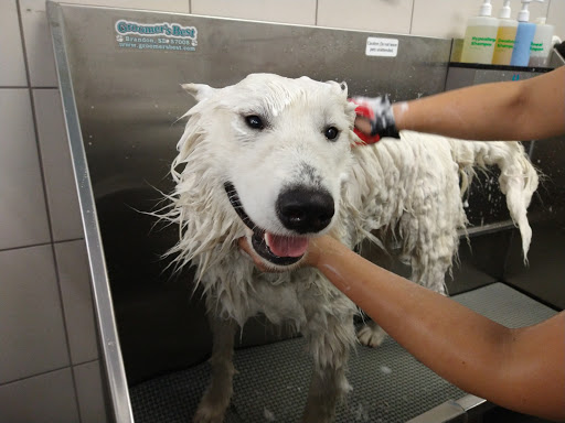 Pet Supply Store «Pet Supplies Plus», reviews and photos, 1791 Douglas Rd, Montgomery, IL 60538, USA