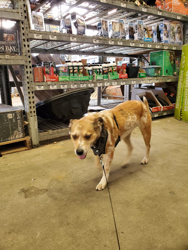 Home Improvement Store «The Home Depot», reviews and photos, 201 W Road to Six Flags St, Arlington, TX 76011, USA