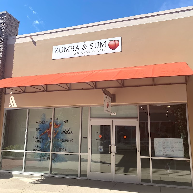 Zumba and Sum LLC