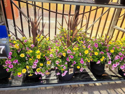 Department Store «Walmart Supercenter», reviews and photos, 8320 Lockwood Ridge Rd, Sarasota, FL 34243, USA