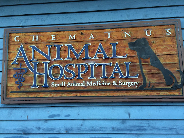 Chemainus Animal Hospital Ltd