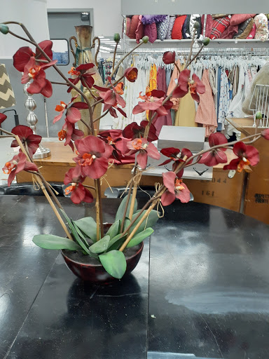 Thrift Store «Goodwill», reviews and photos, 4126 Manzanita Ave, Carmichael, CA 95608, USA