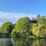 Photo n°5 de l'avis de Aline.i fait le 14/05/2023 à 09:08 sur le  Steigenberger Parkhotel Braunschweig à Braunschweig