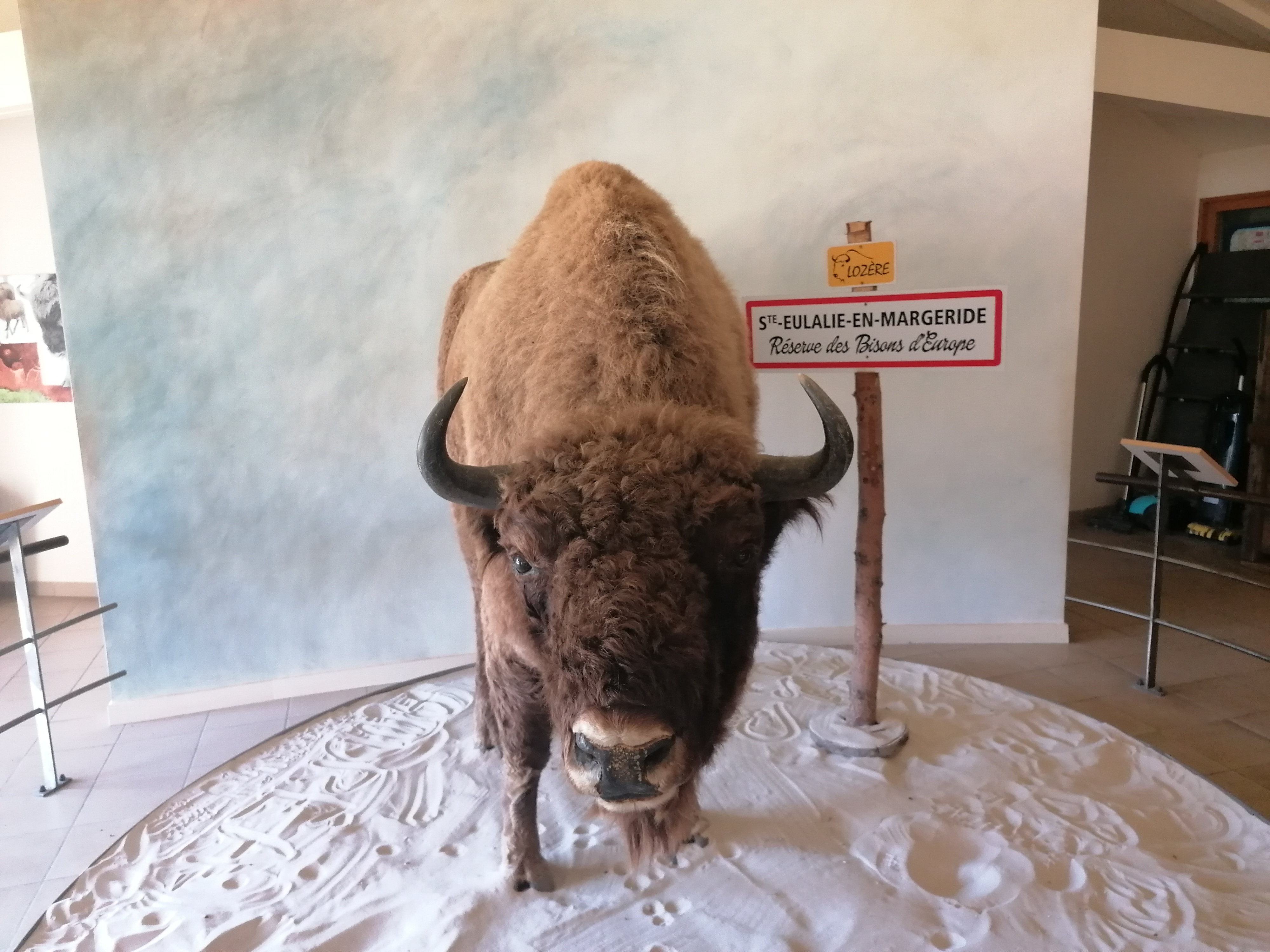 Photo n° 1 de l'avis de Mitch.4 fait le 25/02/2023 à 21:08