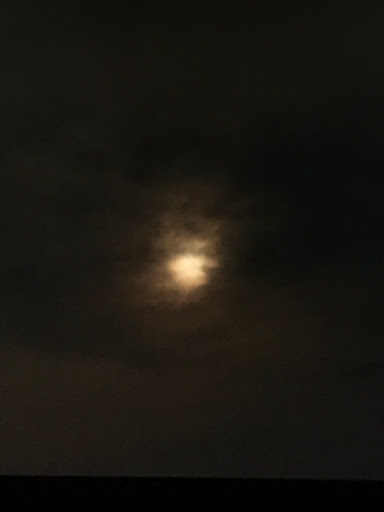 Storage Facility «Extra Space Storage», reviews and photos, 191 N Wilson Rd, Columbus, OH 43204, USA