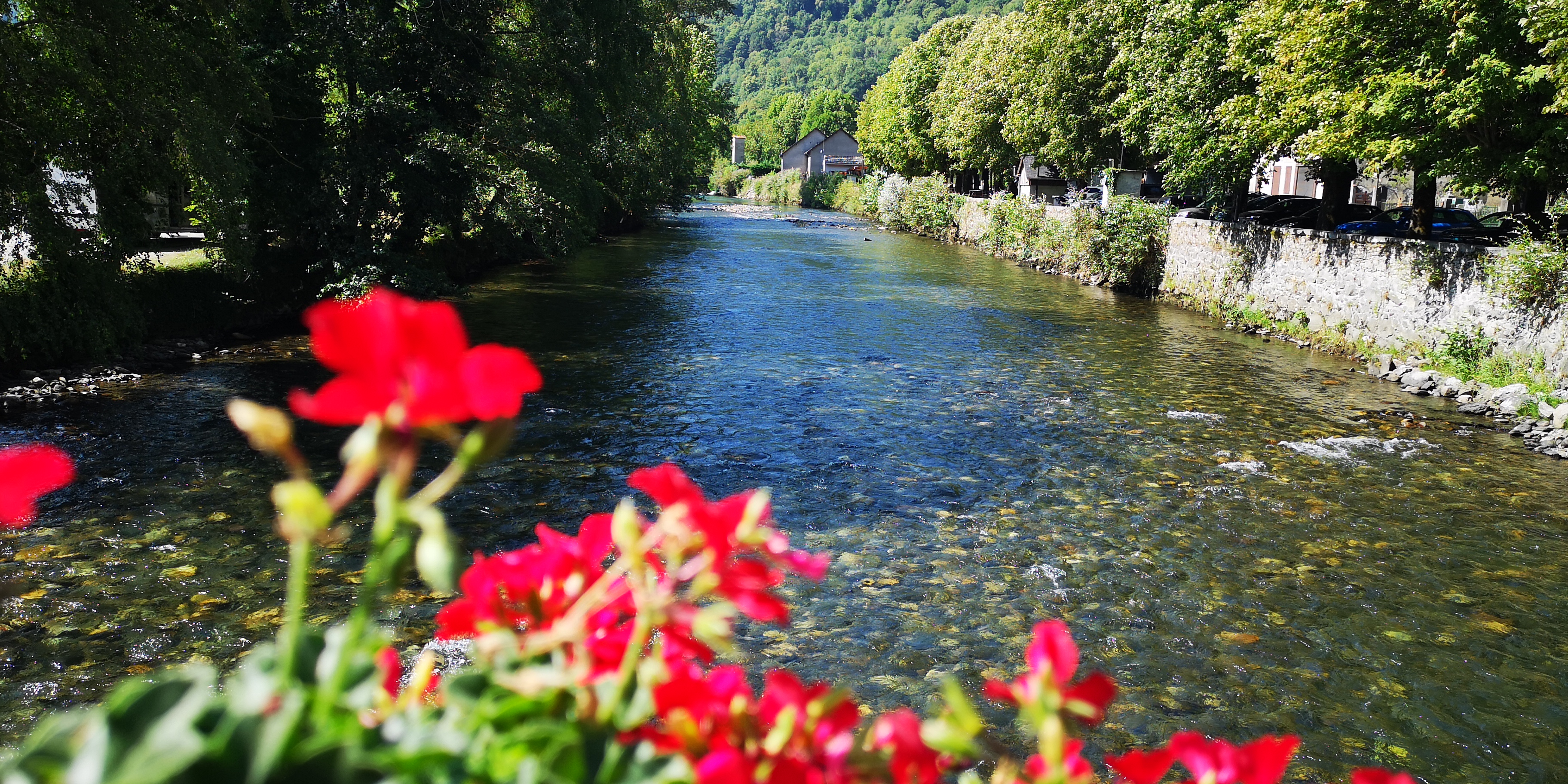 Photo n° 22 de l'avis de Françoise.e fait le 20/08/2022 à 15:10
