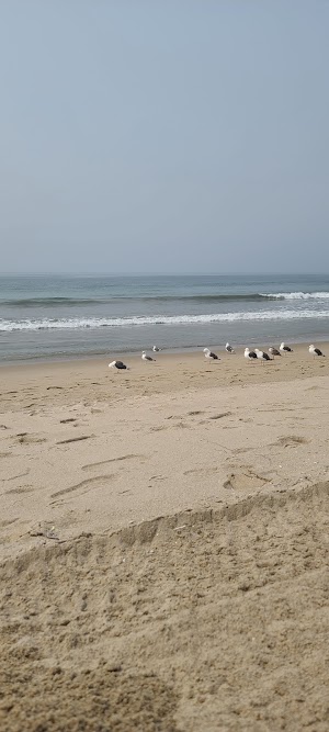 Santa Monica Beach - photo 90