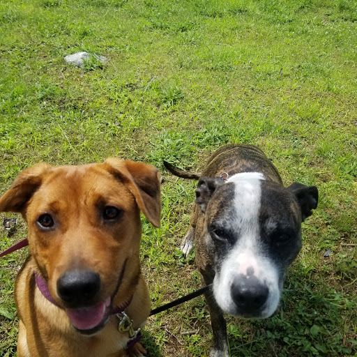 Park «Winding Hills Park», reviews and photos, 2 Old Rte 17K, Montgomery, NY 12549, USA