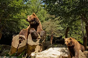 Animal Park of the Pyrenees image