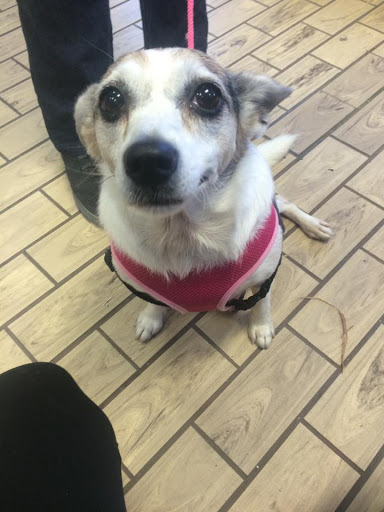 Pet Store «Pets of Portage», reviews and photos, 2219 W Wisconsin St, Portage, WI 53901, USA