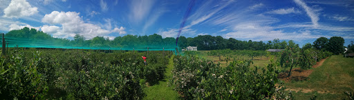 Farm «Russell Orchards», reviews and photos, 143 Argilla Rd, Ipswich, MA 01938, USA