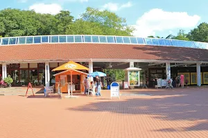 Zoo Kiosk Dobo GmbH image