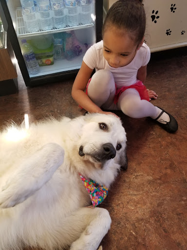 Pet Store «Pet Palace Nutrition & Boutique», reviews and photos, 3233 SE Maricamp Rd #101, Ocala, FL 34471, USA