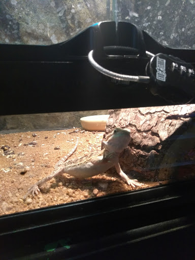 Pet Supply Store «Coastline Pet Supply», reviews and photos, 3530 Northgate Dr, Myrtle Beach, SC 29588, USA