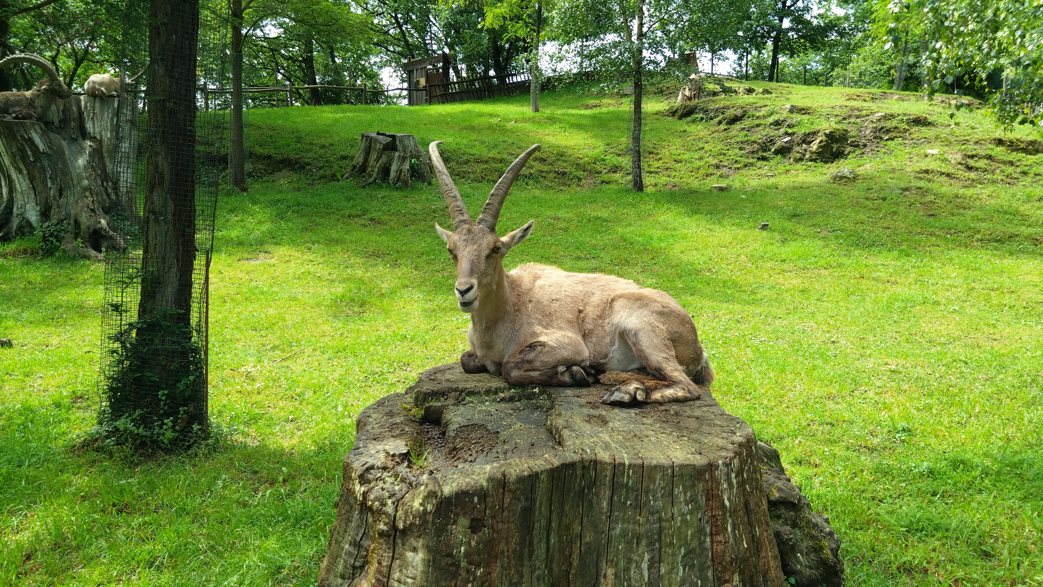 Photo n° 3 de l'avis de David.e fait le 28/05/2023 à 11:55