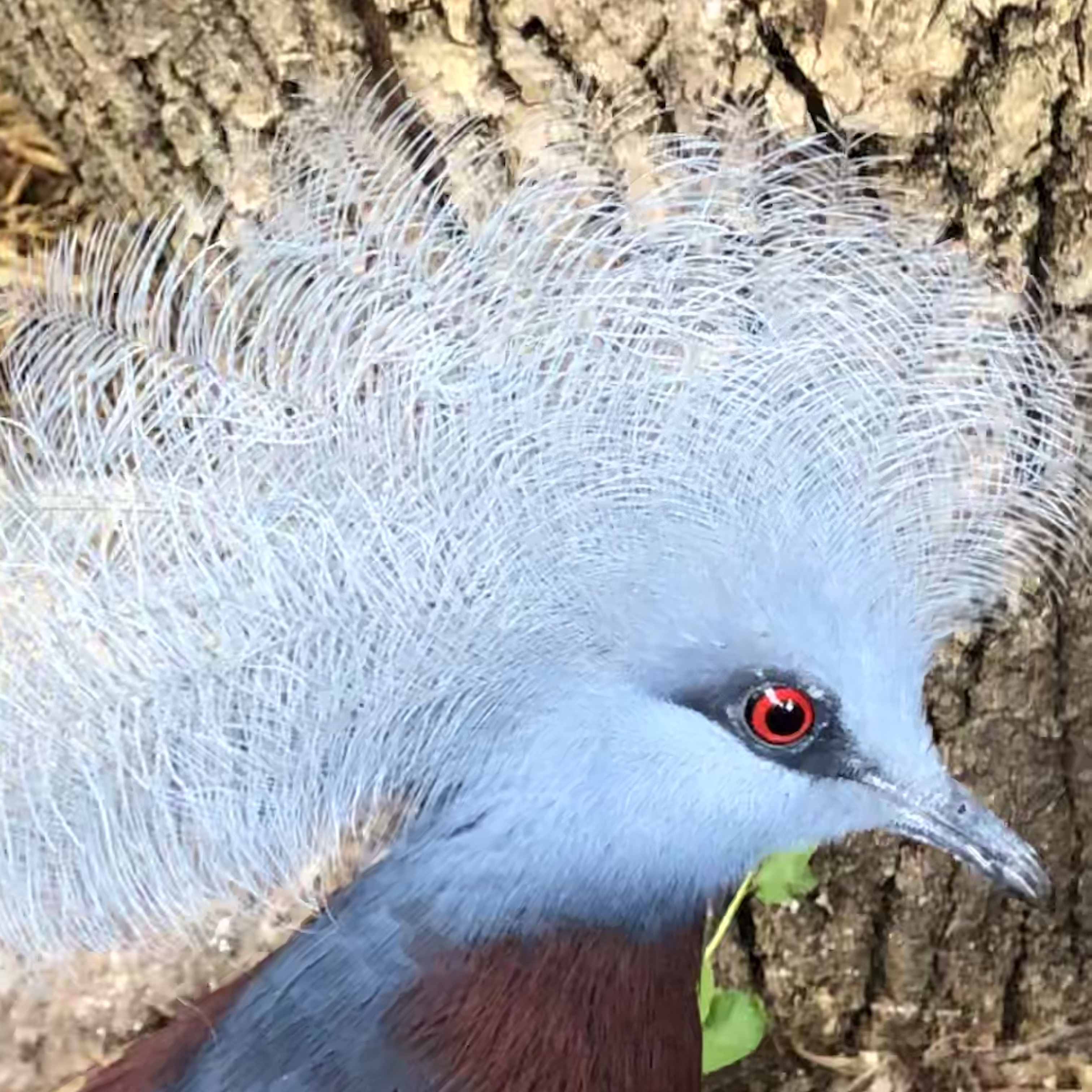 Photo n° 5 de l'avis de Adèle.u fait le 08/08/2022 à 13:07