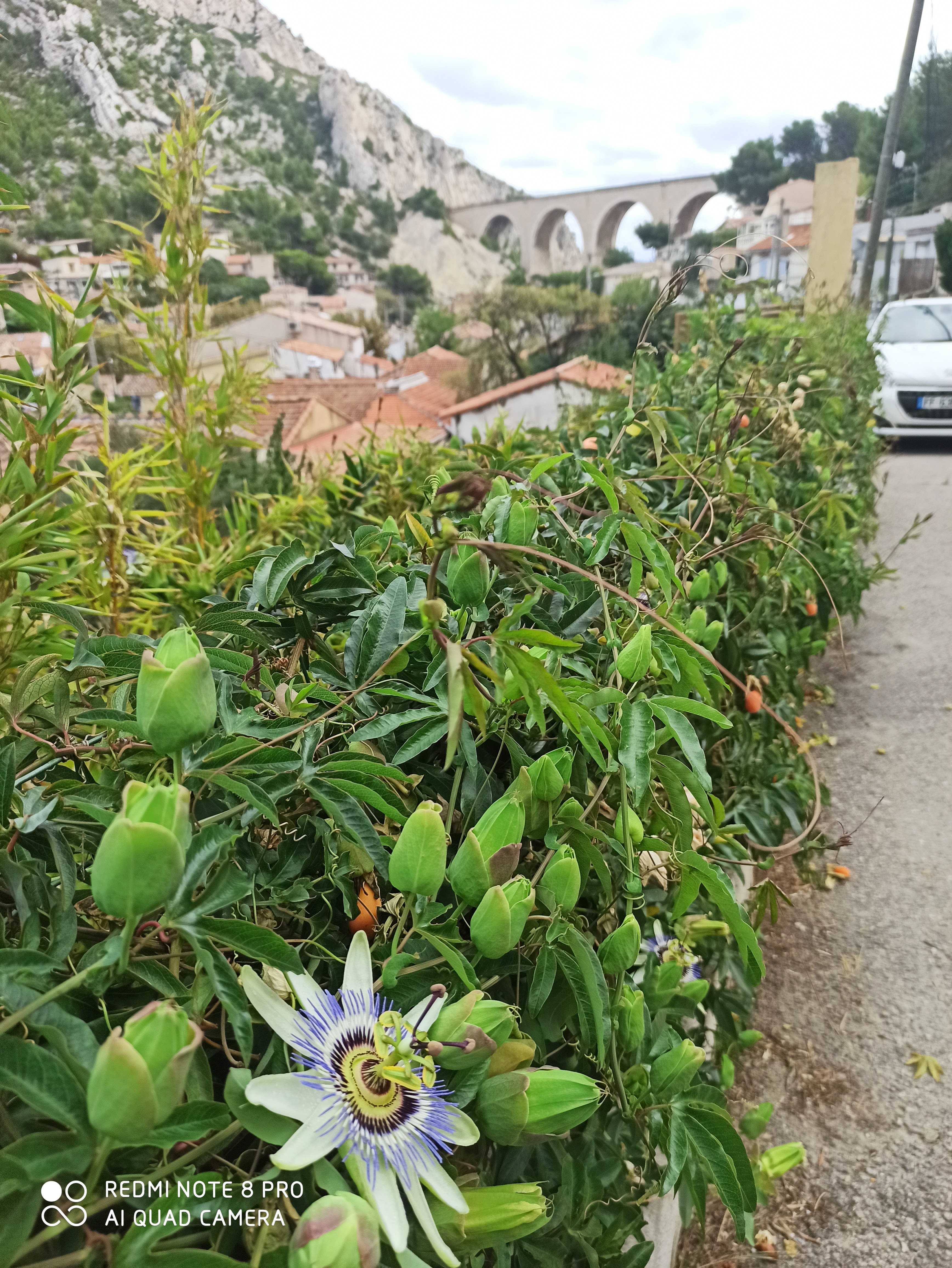 Photo n° 7 de l'avis de Frédéric.a fait le 03/10/2021 à 17:14