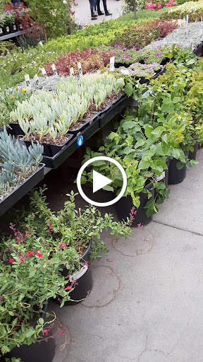 Home Improvement Store «The Home Depot», reviews and photos, 1055 W 21st St, San Bernardino, CA 92405, USA