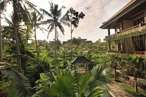 Alam Terrace Cottages image